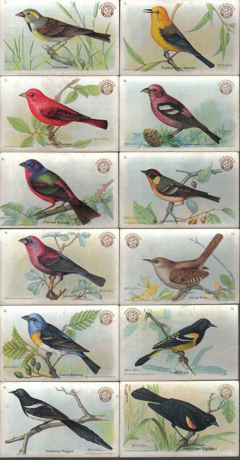 USEFUL BIRDS OF AMERICA SERIES 3 COMPLETE SET OF 30 BY ARM AND HAMMER