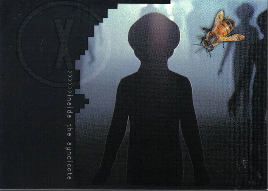 X FILES SEASON 6-7 INSIDE THE SYNDICATE CARD i2